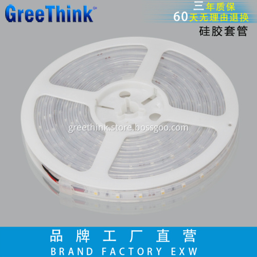 Waterproof 12V 60leds/m Christmas Light Outdoor